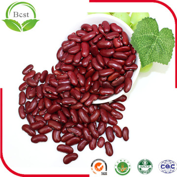 Dried Dark Red Kidney Beans